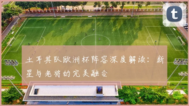 土耳其队欧洲杯阵容深度解读：新星与老将的完美融合