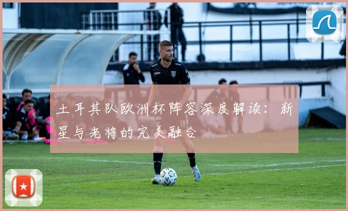 土耳其队欧洲杯阵容深度解读：新星与老将的完美融合